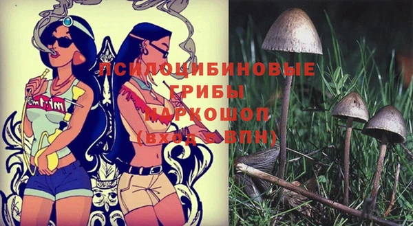метамфетамин Гусь-Хрустальный